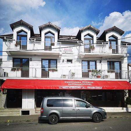 Готель Pensiunea Mikelis International Куртя-де-Арджеш Екстер'єр фото